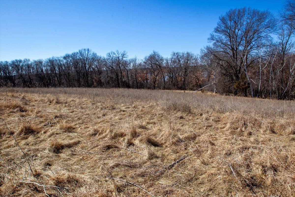 40-Big Carnelian image-40.jpg