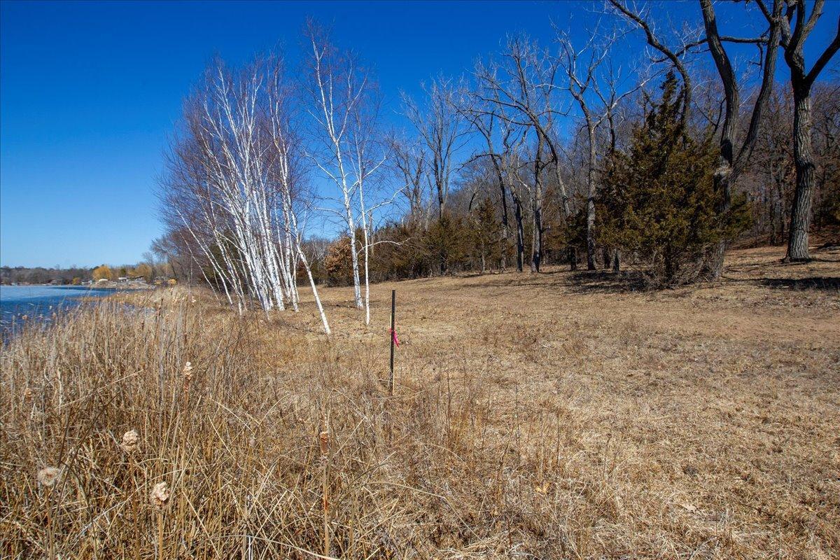 59-Big Carnelian image-59.jpg