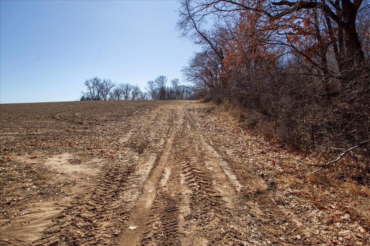 26-Big Carnelian image-26.jpg