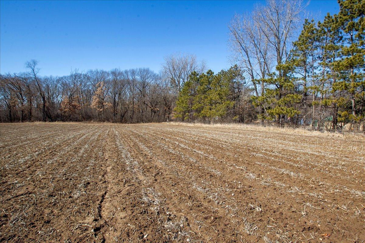 29-Big Carnelian image-29.jpg