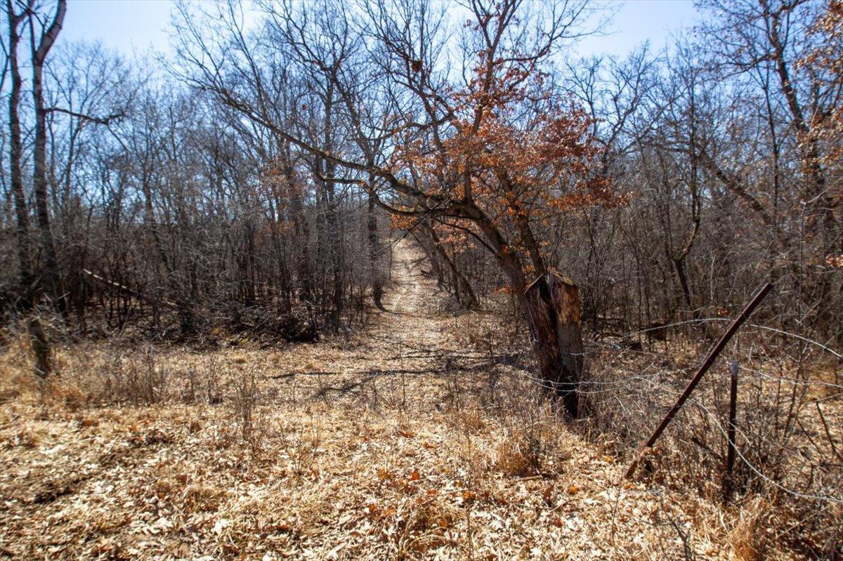 34-Big Carnelian image-34.jpg