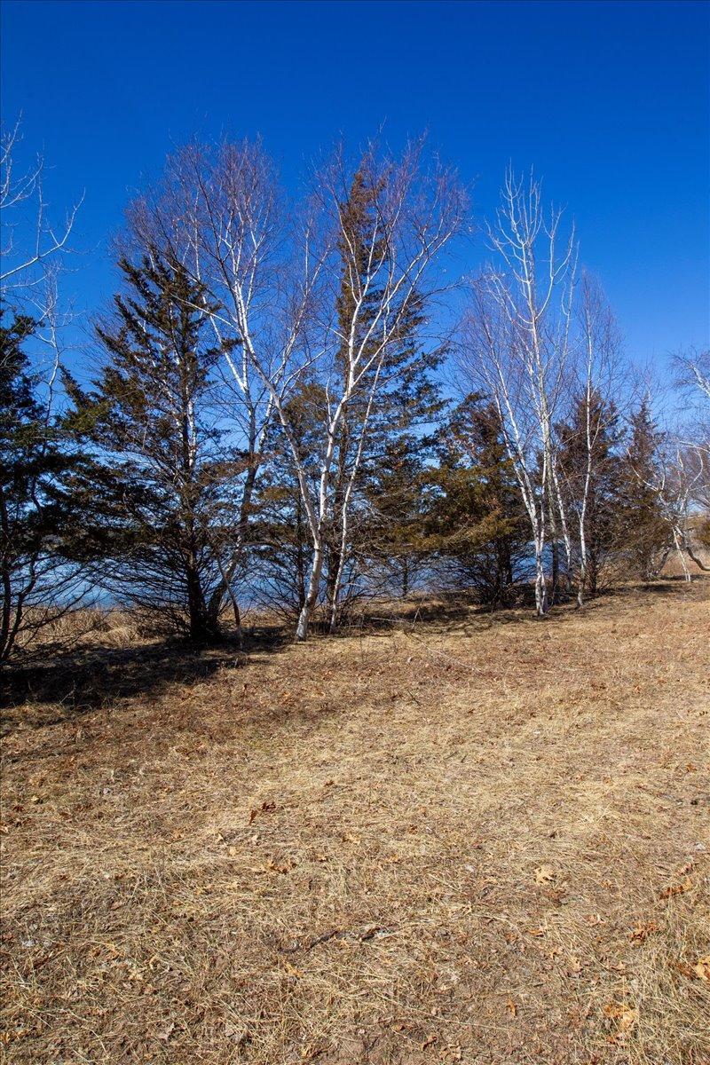 66-Big Carnelian image-66.jpg