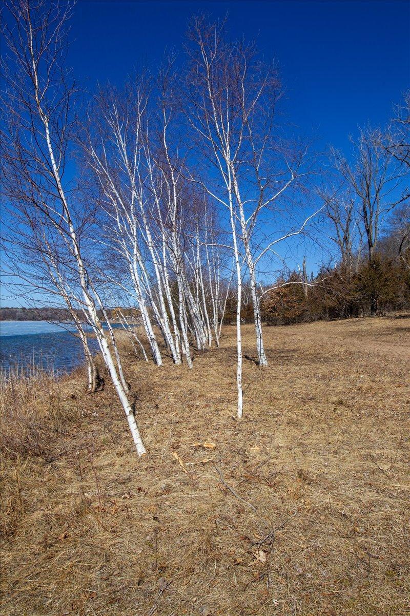 57-Big Carnelian image-57.jpg