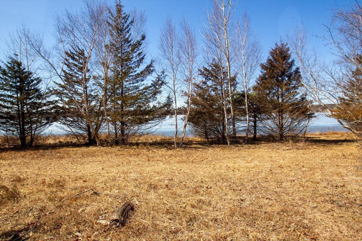 67-Big Carnelian image-67.jpg