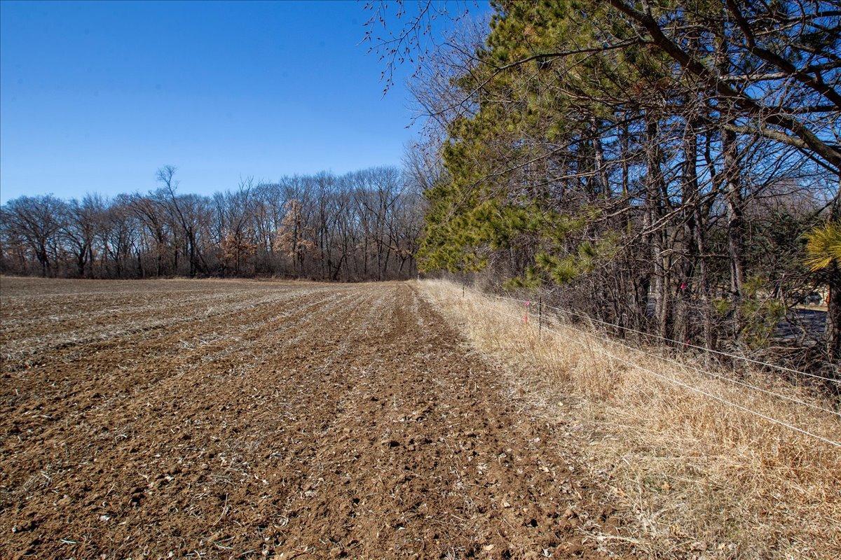 32-Big Carnelian image-32.jpg