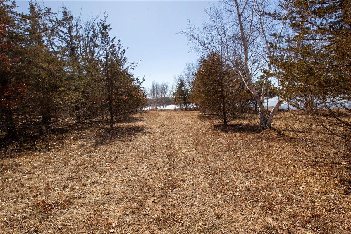 70-Big Carnelian image-70.jpg