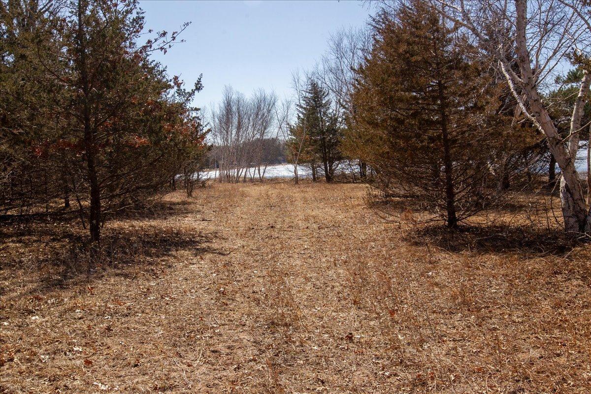 71-Big Carnelian image-71.jpg