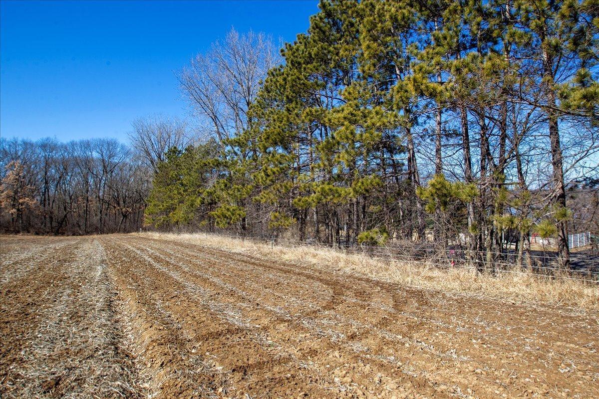 31-Big Carnelian image-31.jpg