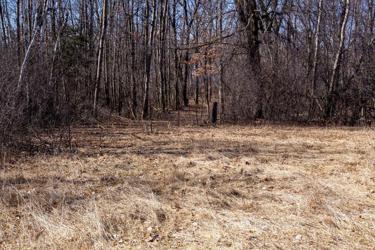 46-Big Carnelian image-46.jpg