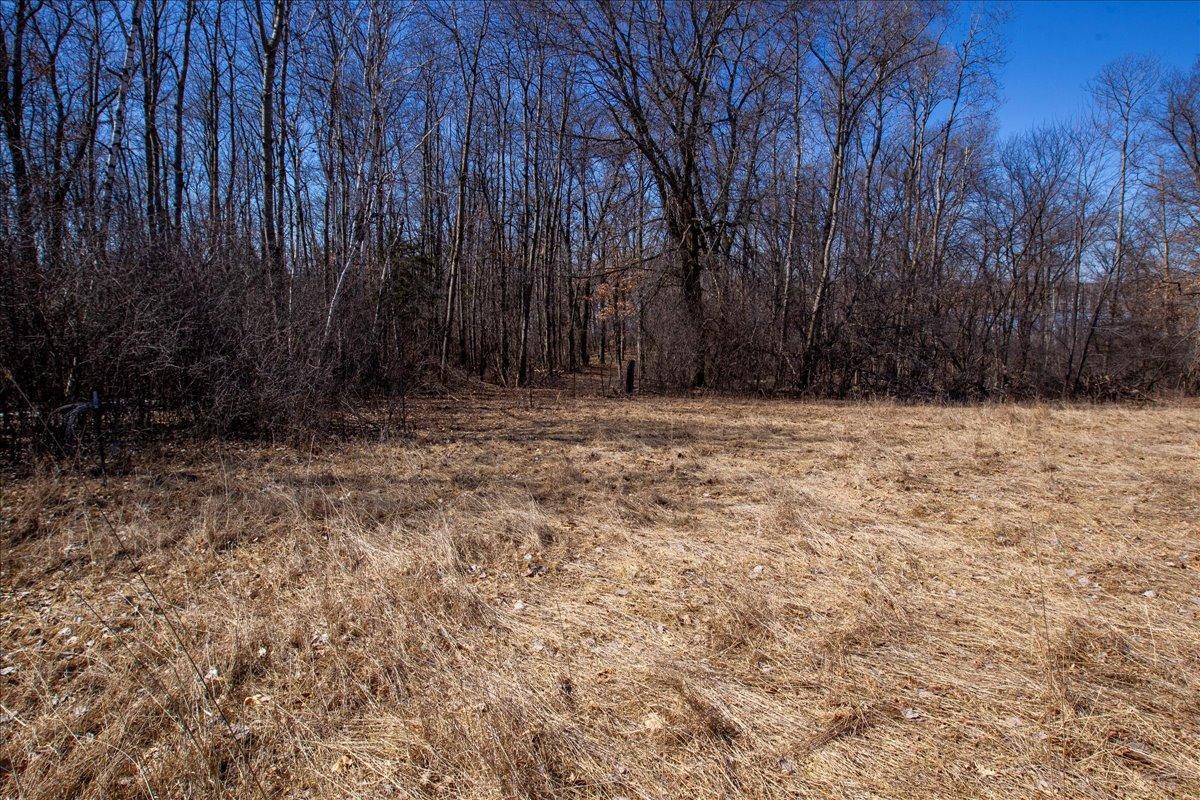 45-Big Carnelian image-45.jpg