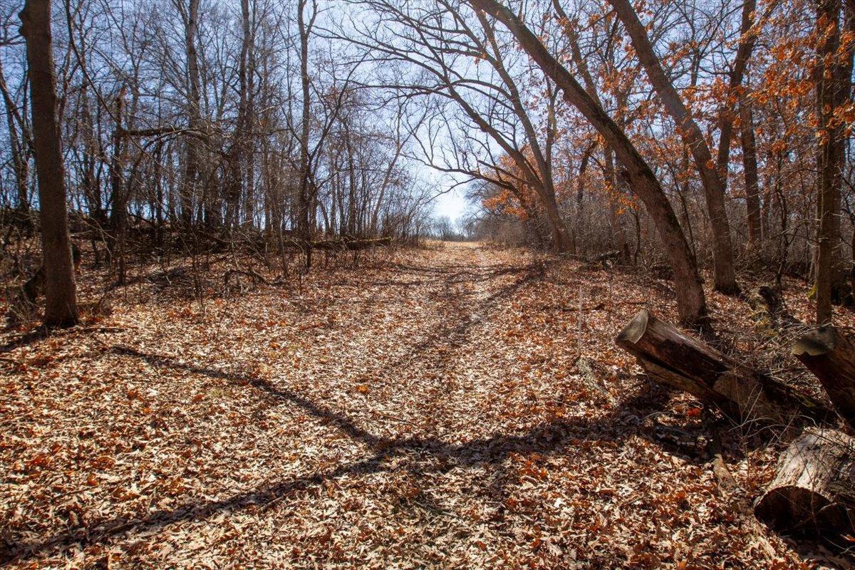 37-Big Carnelian image-37.jpg