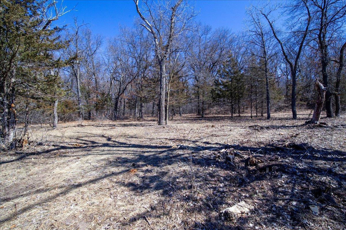 75-Big Carnelian image-75.jpg