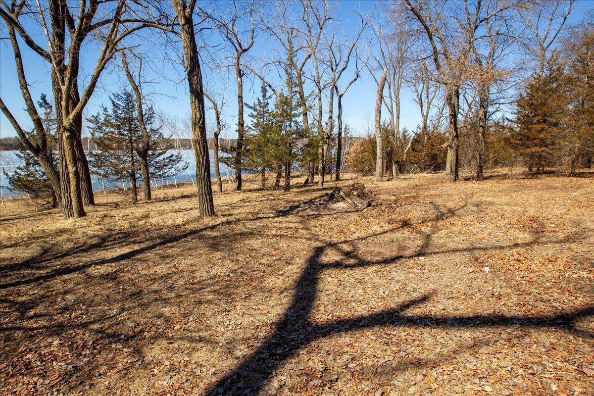 55-Big Carnelian image-55.jpg