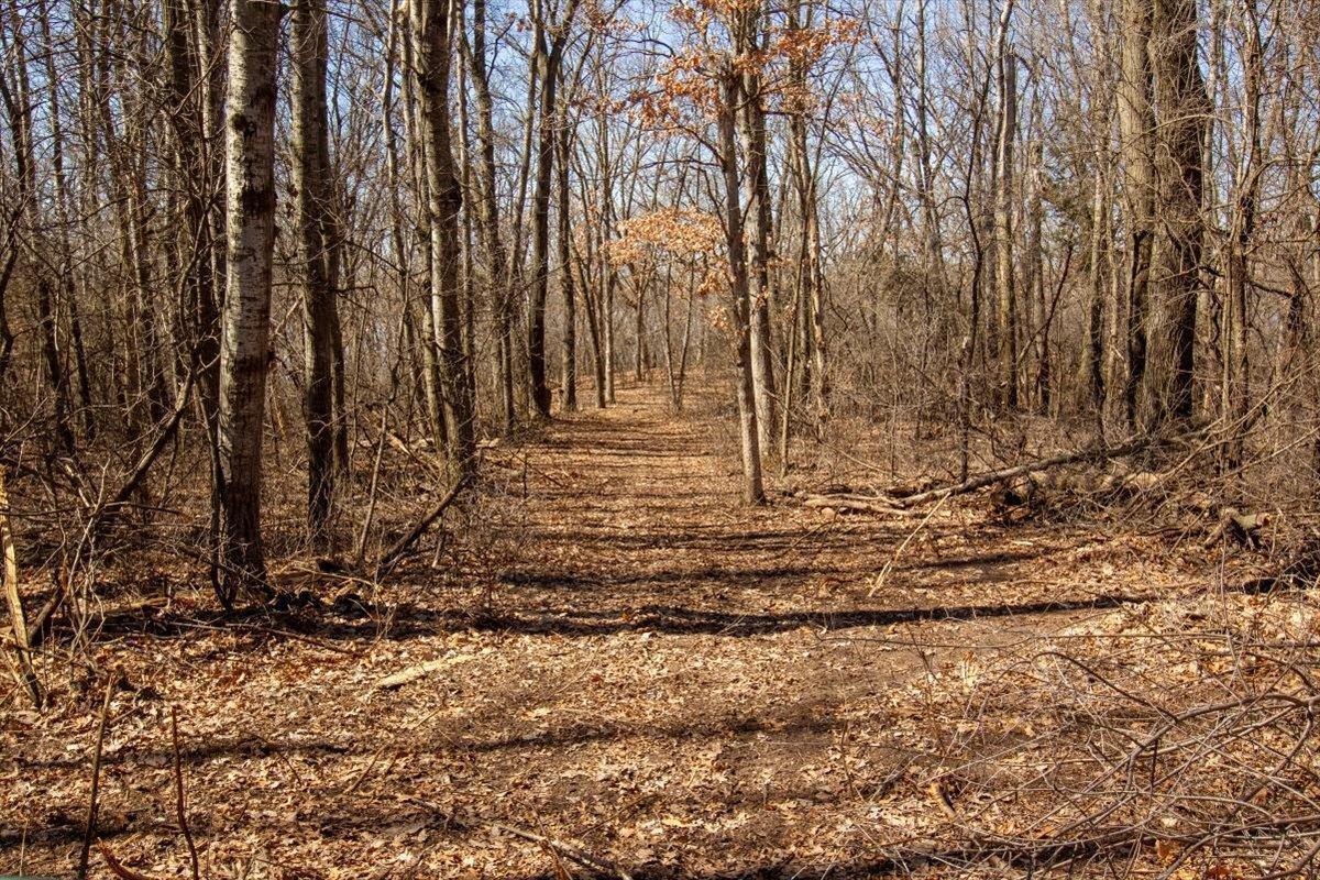 47-Big Carnelian image-47.jpg