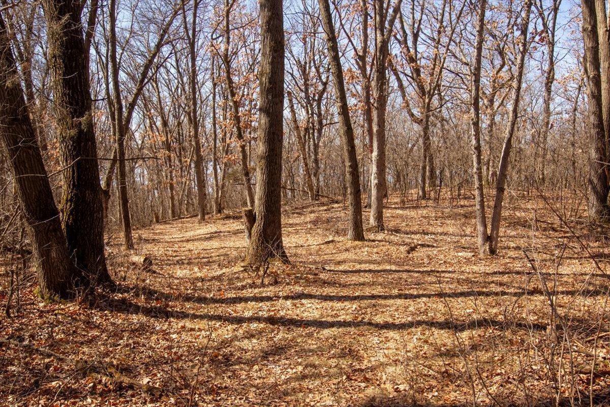 49-Big Carnelian image-49.jpg