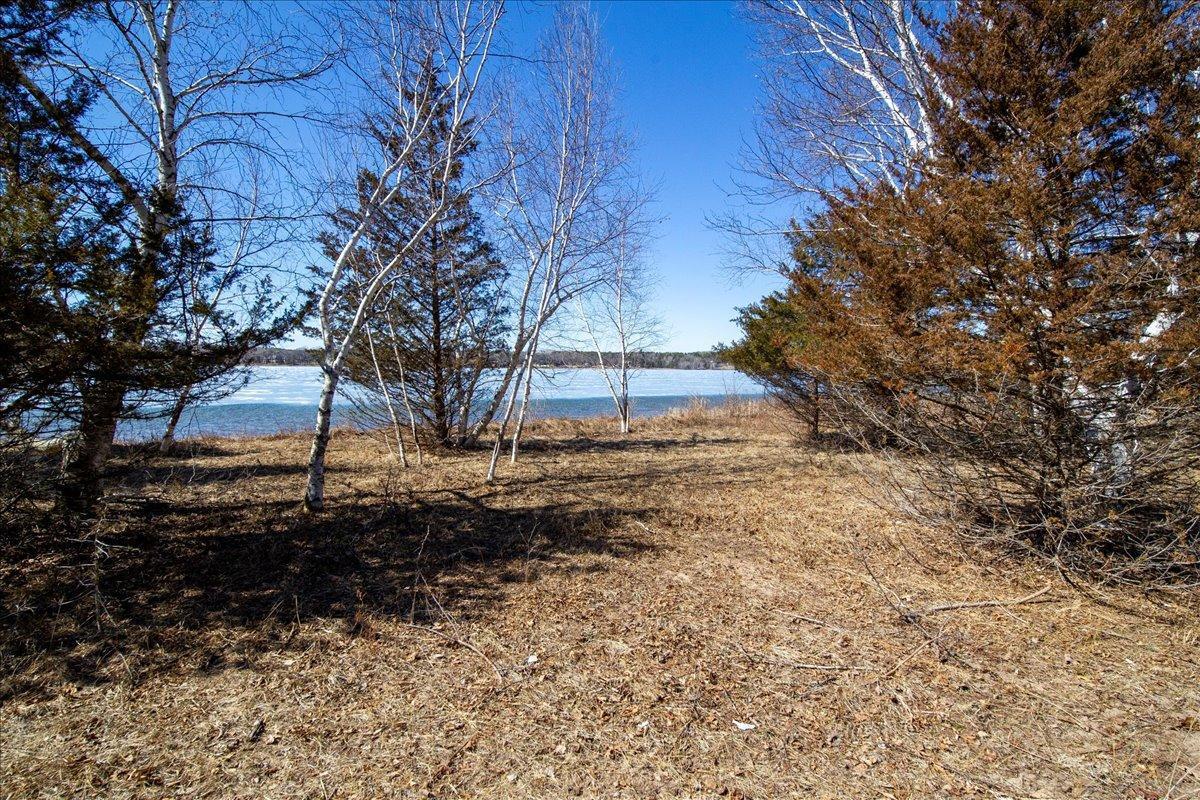 77-Big Carnelian image-77.jpg