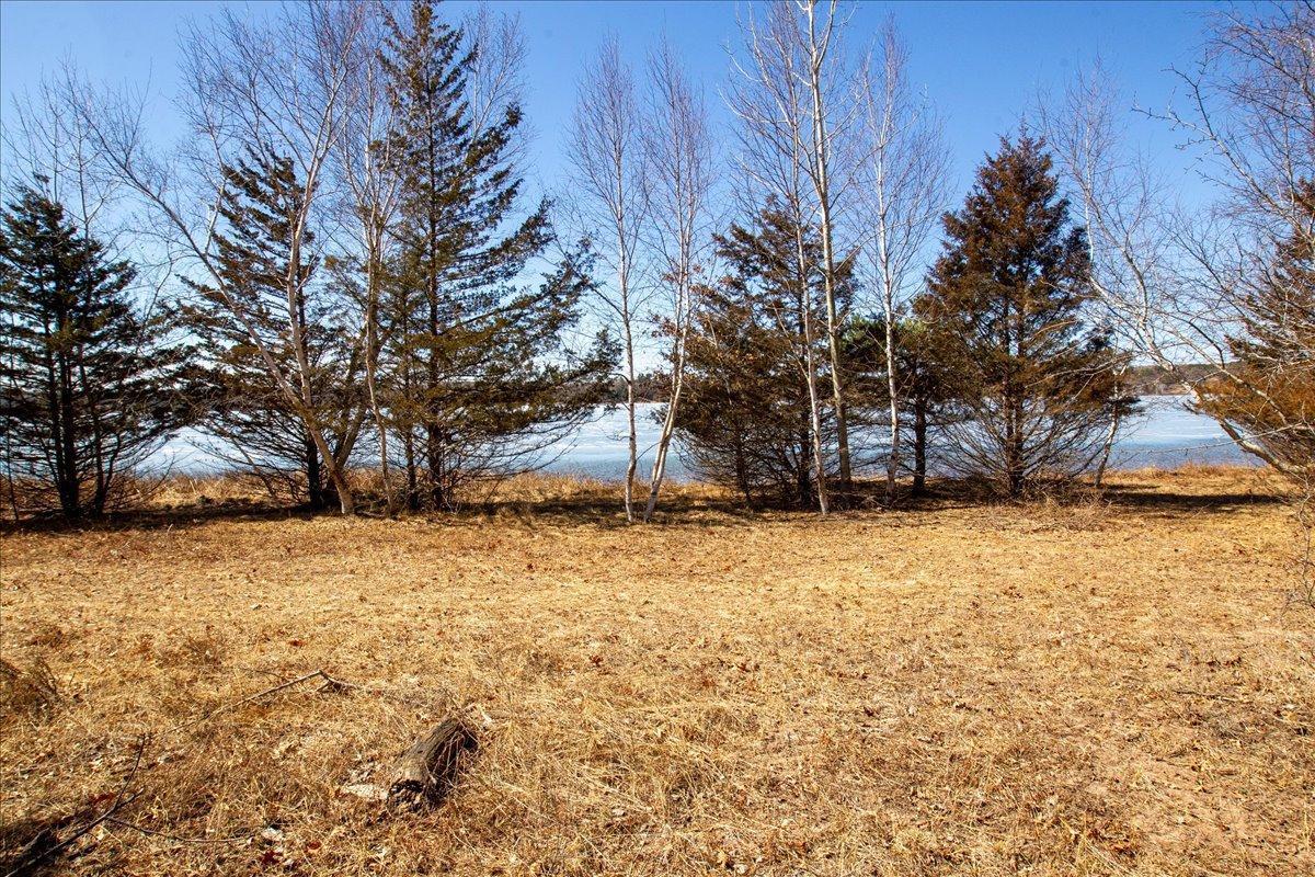 68-Big Carnelian image-68.jpg