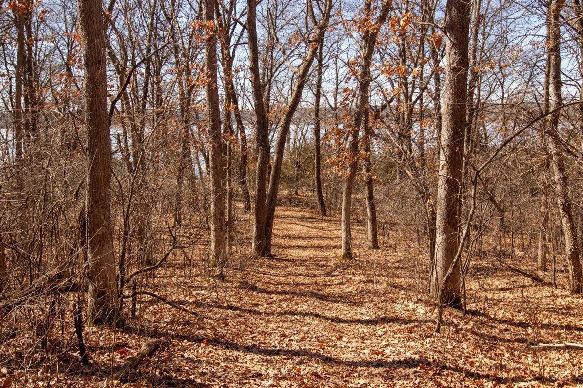 52-Big Carnelian image-52.jpg