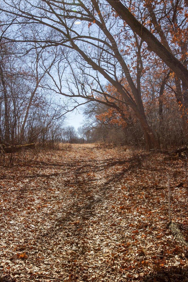 36-Big Carnelian image-36.jpg