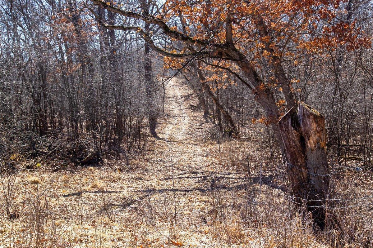 35-Big Carnelian image-35.jpg