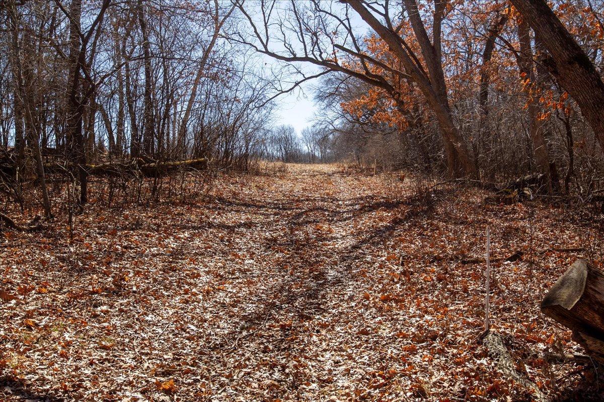 38-Big Carnelian image-38.jpg