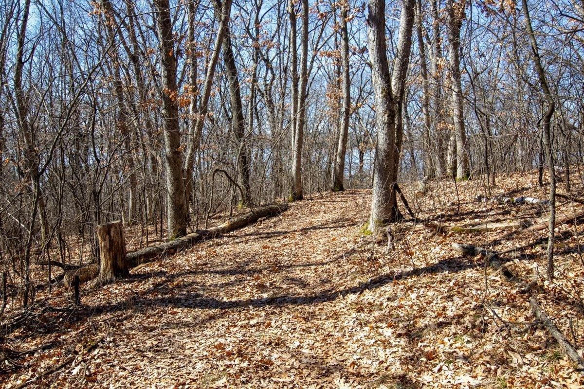 50-Big Carnelian image-50.jpg