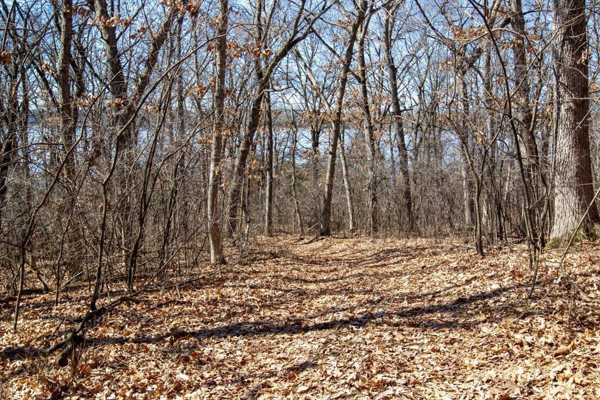 51-Big Carnelian image-51.jpg