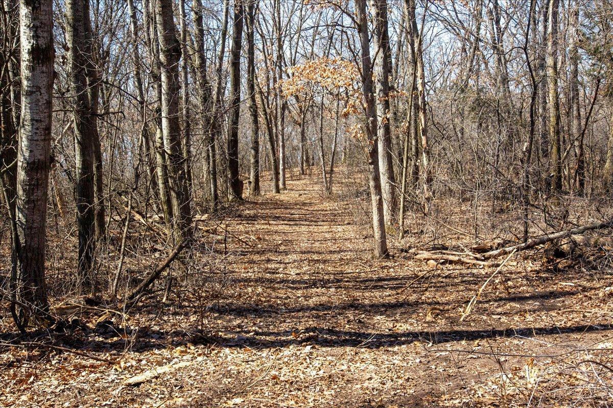 48-Big Carnelian image-48.jpg