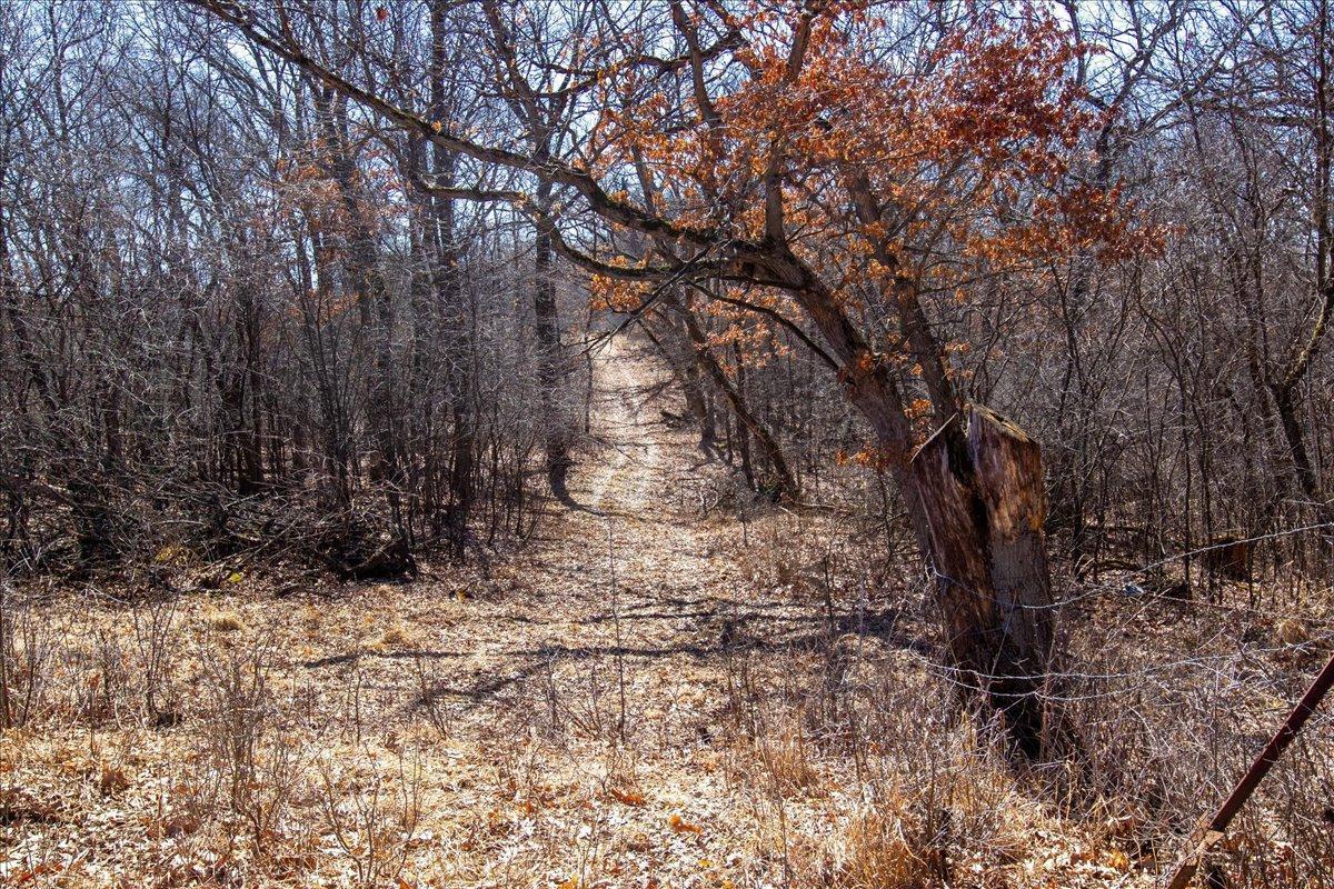 33-Big Carnelian image-33.jpg