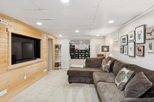 Lower level family room