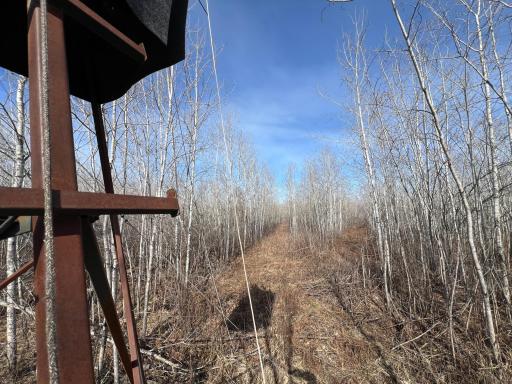 000 Lost Fawn, Hinckley, MN 55037