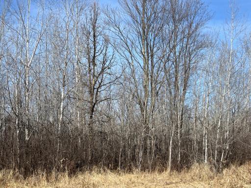 000 Lost Fawn, Hinckley, MN 55037