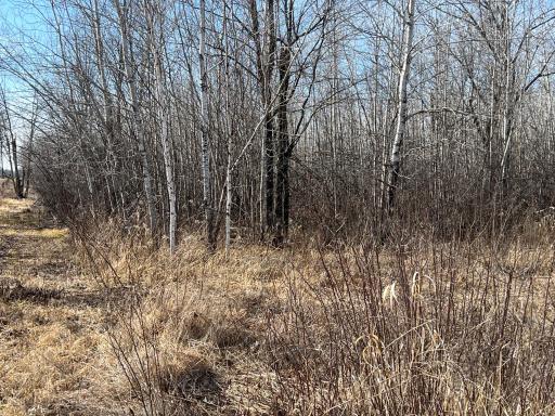 000 Lost Fawn, Hinckley, MN 55037