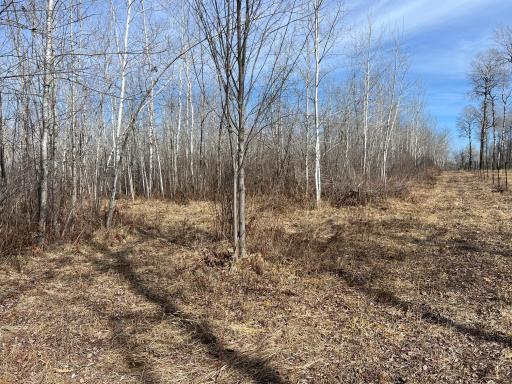 000 Lost Fawn, Hinckley, MN 55037
