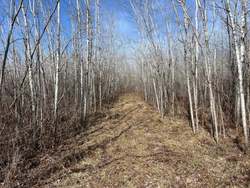 000 Lost Fawn, Hinckley, MN 55037