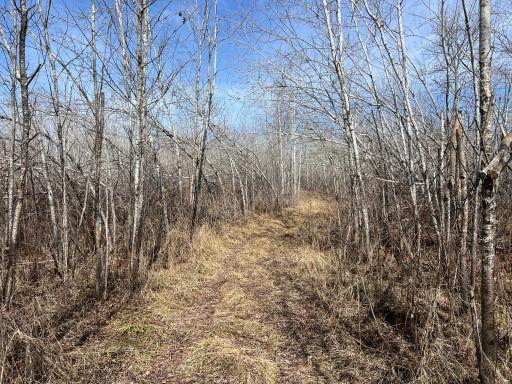 000 Lost Fawn, Hinckley, MN 55037