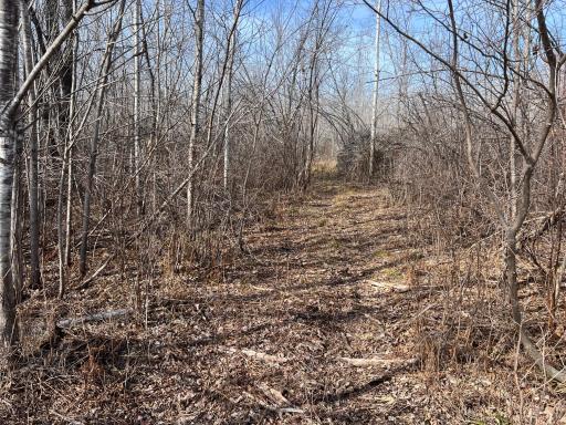 000 Lost Fawn, Hinckley, MN 55037
