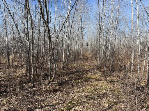 000 Lost Fawn, Hinckley, MN 55037