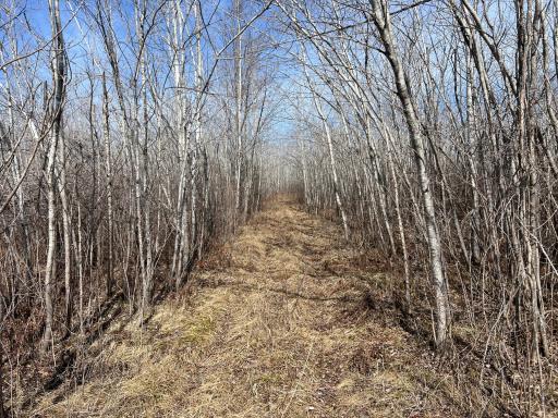 000 Lost Fawn, Hinckley, MN 55037