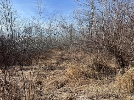 000 Lost Fawn, Hinckley, MN 55037