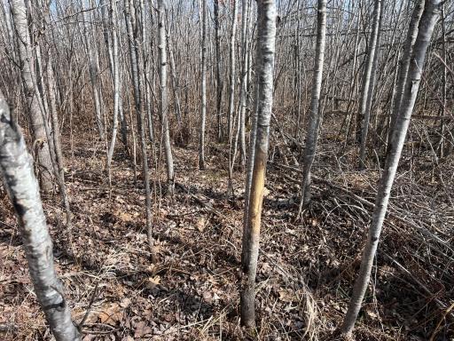 000 Lost Fawn, Hinckley, MN 55037