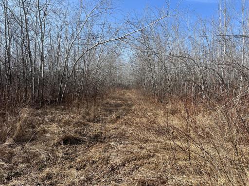 000 Lost Fawn, Hinckley, MN 55037