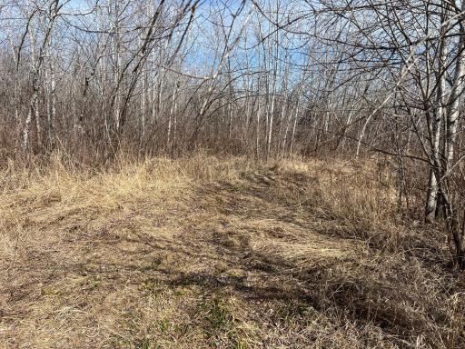 000 Lost Fawn, Hinckley, MN 55037