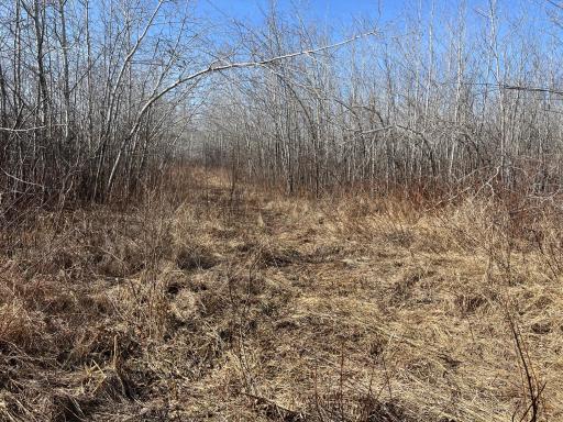 000 Lost Fawn, Hinckley, MN 55037