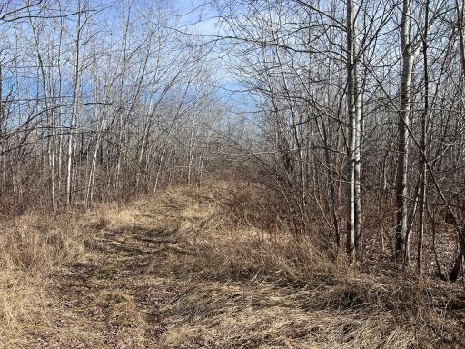 000 Lost Fawn, Hinckley, MN 55037