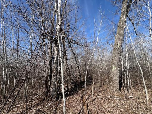 000 Lost Fawn, Hinckley, MN 55037