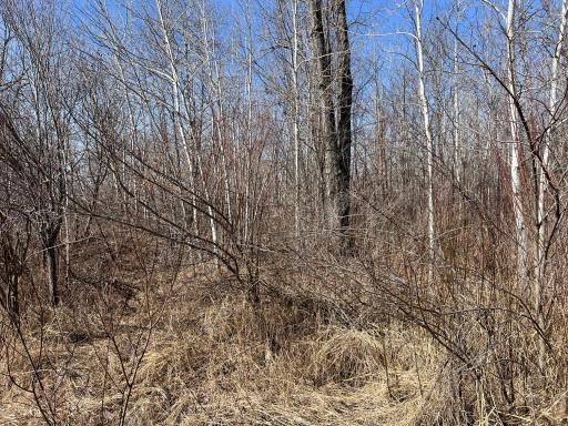 000 Lost Fawn, Hinckley, MN 55037
