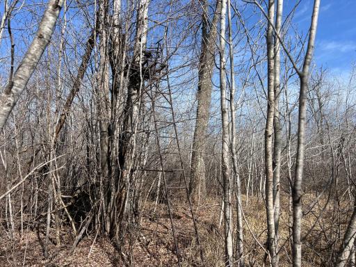 000 Lost Fawn, Hinckley, MN 55037