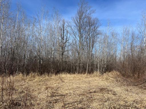 000 Lost Fawn, Hinckley, MN 55037
