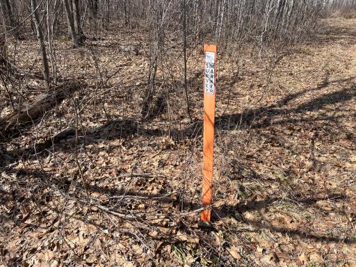 000 Lost Fawn, Hinckley, MN 55037